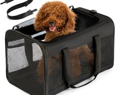 Pet carrier bag 31cm x 51cm x 31cm