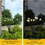 Solar Lights Outdoor Waterproof, Swaying Solar Garden Firefly Decorative Yard,Firefly Garden Lights Outdoor for Path Fence 2pack Image 6