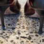 Jimmy Choo kitten heel shoes Image 9