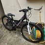 Ladies bicycle Image 2