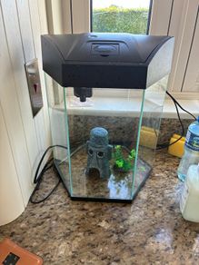 fish tank