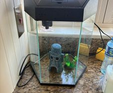 fish tank