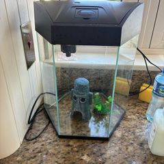 fish tank