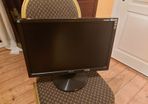 asus monitor