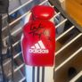 katie Taylor signed gloves Image 3