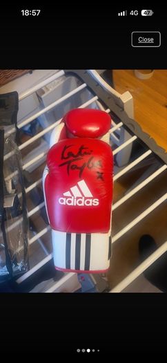 katie Taylor signed gloves