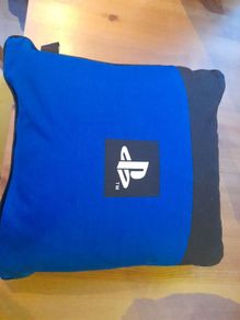 Playstation cushion and seat pillow.