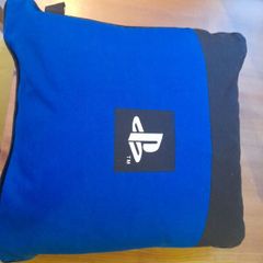 Playstation cushion and seat pillow.