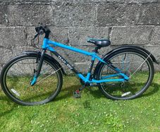 Frog 69 Kids Bike