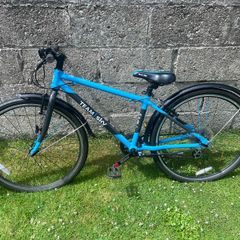 Frog 69 Kids Bike