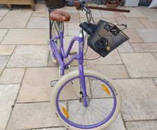 Electra Bike