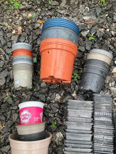 plant pots