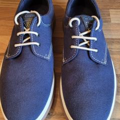 Navy Clarks Mens shoes