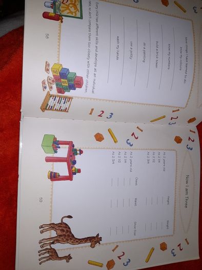 Baby record book