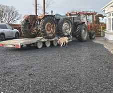 Ford County 1124