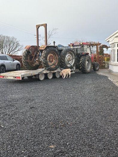 Ford County 1124