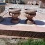 garden Image 3