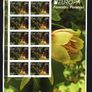 2011 Ireland Europa (Forests) Commemorative Stamps Plate 1A1A1A1A Fine CDS Used with Dublin cancel of 14th April 2011 (First day of issue) on envelope extract. Image 2