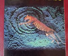 Dance of the Four Winds/ Secrets of the Inca Medicine Wheel / 1995