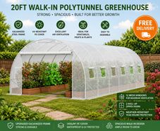20ft Walk-In Polytunnel Greenhouse with Galvanized Steel Frame and PE Cover