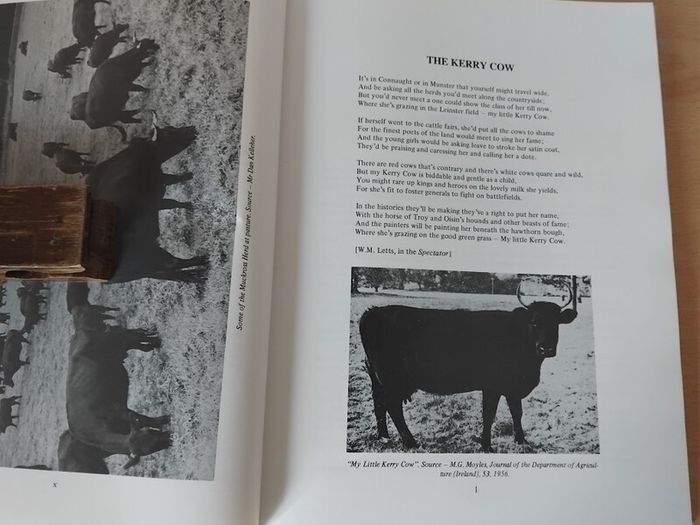 Kerry and Dexter Cattle: A History by PL Curran Signed p/b 1990 FREEPOST