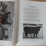 Kerry and Dexter Cattle: A History by PL Curran Signed p/b 1990 FREEPOST Image 8