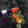 BRAND NEW 1PC 0.6m Long Handle Fruit Picker Image 4