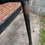 Scooter Image 5