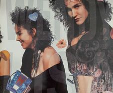 Wendy & Lisa - Fruit at the Bottom -1988 Vinyl LP with free 12" of Waterfall & others