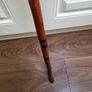 Walking stick Image 4