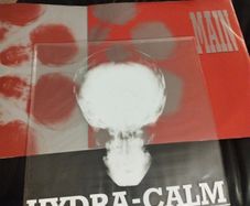 Main Hydra / Calm 2 x 12"
