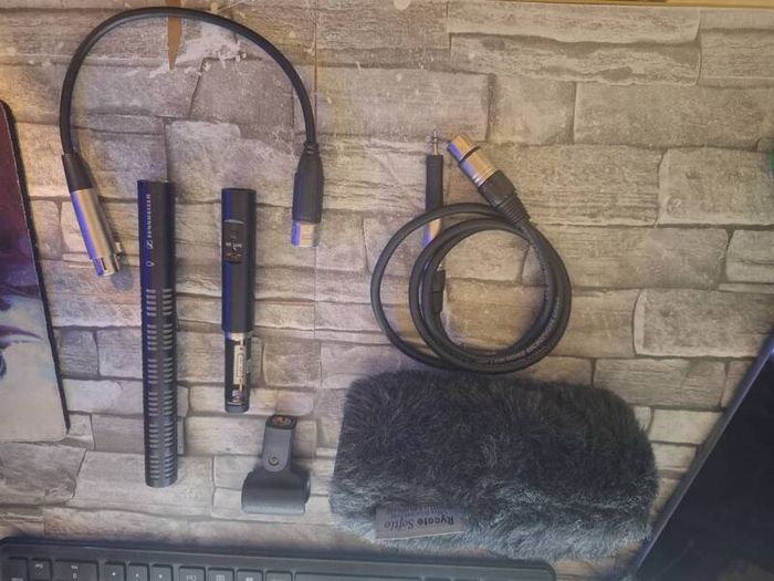 sennheiser ME 66 microphone