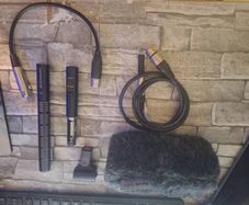 sennheiser ME 66 microphone