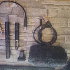 sennheiser ME 66 microphone