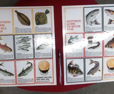Guinness Guide To Sea Fish - Guinness Guide To River Fish Posters Replicas Pair
