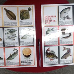 Guinness Guide To Sea Fish - Guinness Guide To River Fish Posters Replicas Pair