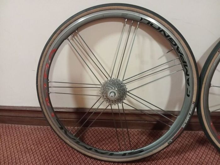 Campagnolo Shamal Ultra bike wheelset