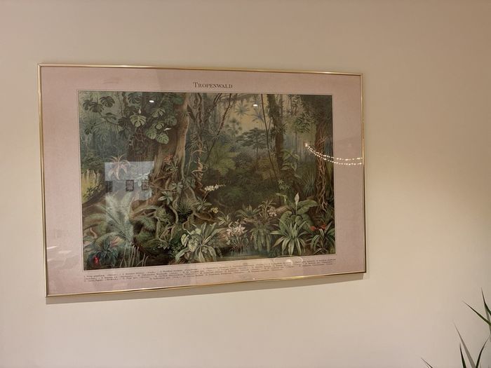 Tropical Picture Frame 130cm in diameter