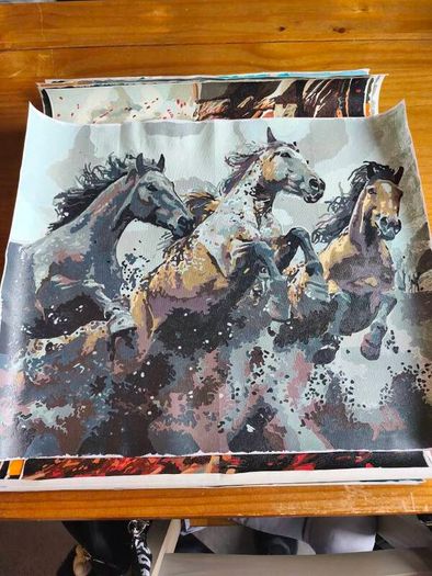 Canvas Paintings