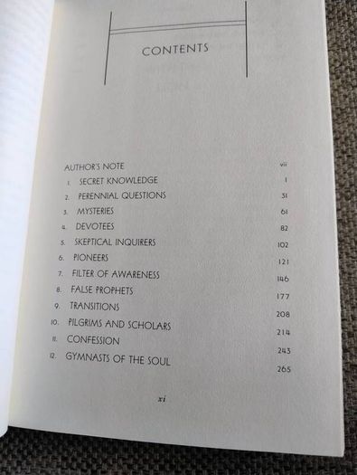 Riding with the Lion in search of mystical Christianity 1995 hardback with dustcover in very good condition FREE STANDARD POSTAGE INCLUDED