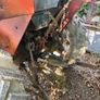 Zetor 5011 Image 2