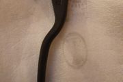 KTM Duke Clutch Lever