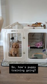 white puppy/pet playpen enclosure
