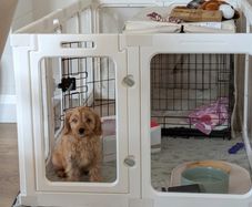 white puppy/pet playpen enclosure
