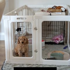 white puppy/pet playpen enclosure