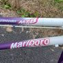 Female Type Tourer Bicycle Image 9