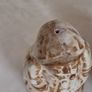 Ceramic Salt and Pepper Shakers Image 3