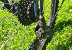 Aluminium frame Mountain Bike