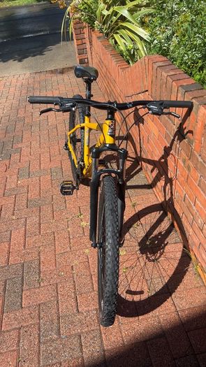 bikes