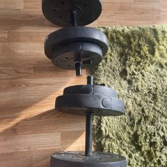 dumbell weights- pair
